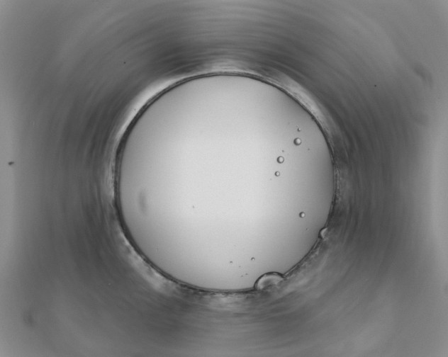 X0000111891148200908131649