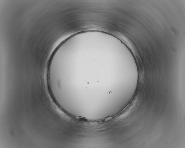 X0000111891149200908131649