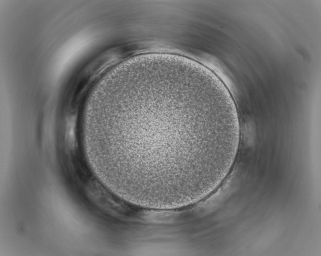 X0000111891150200908131649