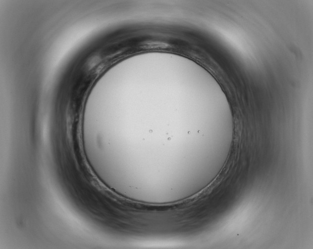 X0000111891151200908131649