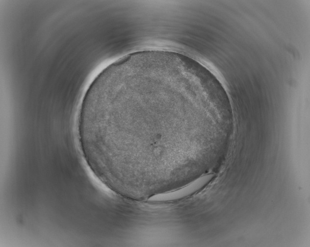 X0000111891152200908131649