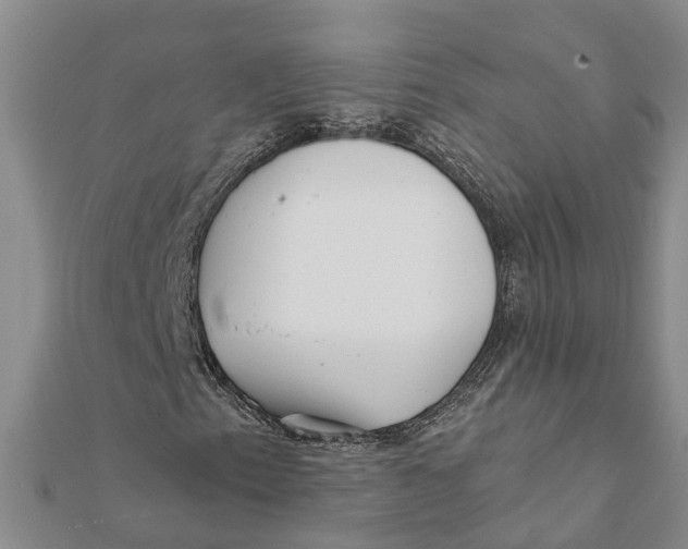 X0000111891153200908131648