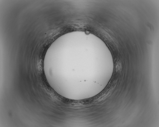 X0000111891156200908131648