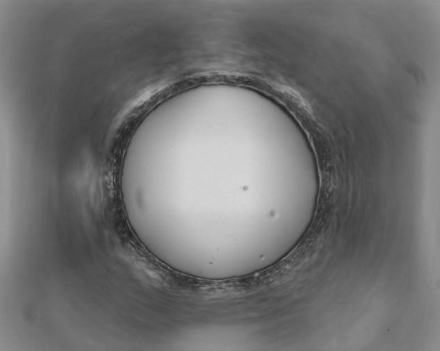 X0000111891159200908131648