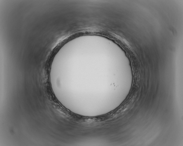 X0000111891160200908131648