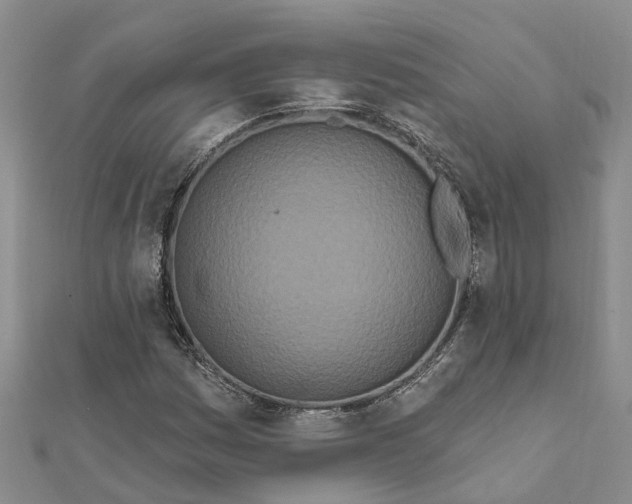 X0000111891161200908131648