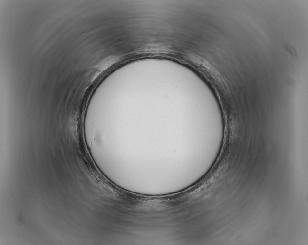 X0000111891162200908131648