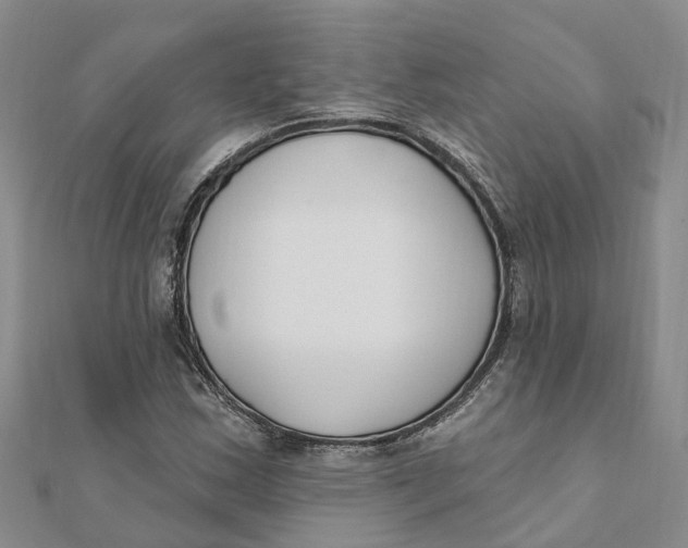 X0000111891163200908131648