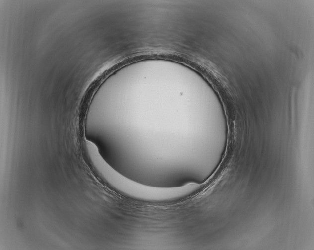 X0000111891165200908131648