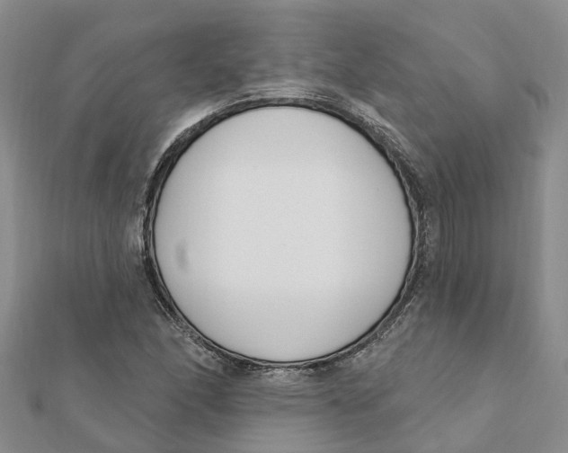 X0000111891166200908131648