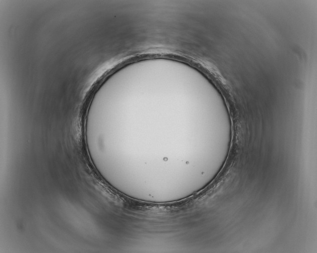 X0000111891167200908131648