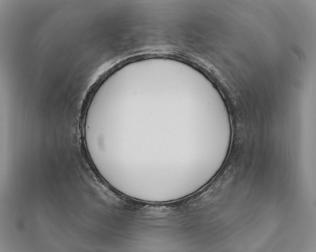 X0000111891168200908131648