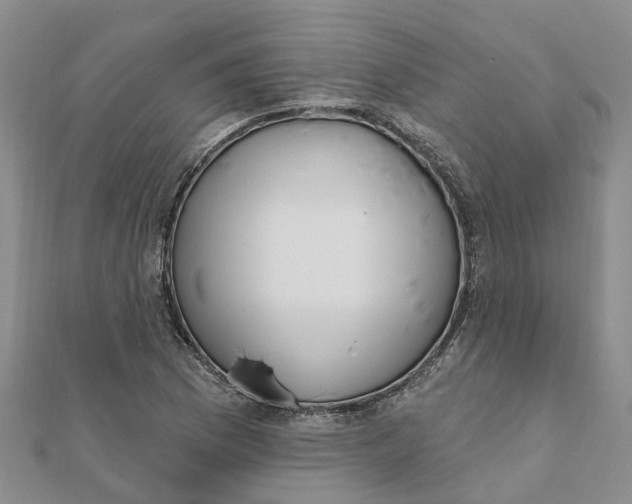 X0000111891169200908131648