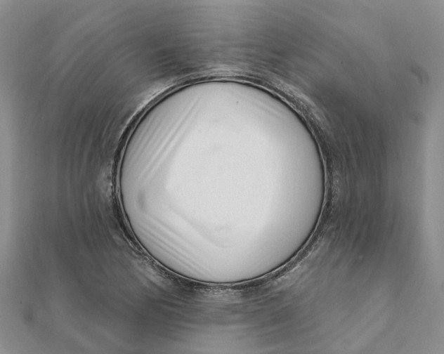 X0000111891170200908131648