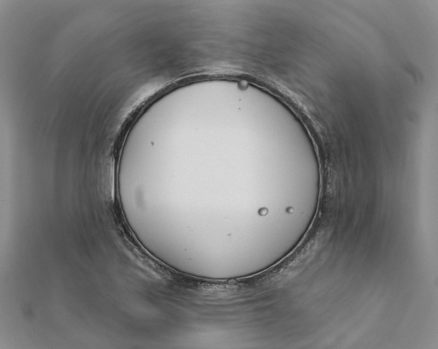 X0000111891171200908131648