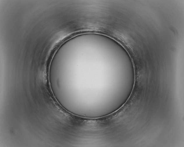 X0000111891172200908131648