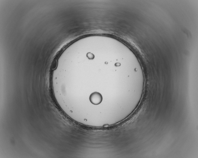 X0000111891173200908131648