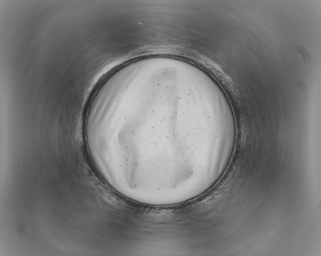 X0000111891174200908131648