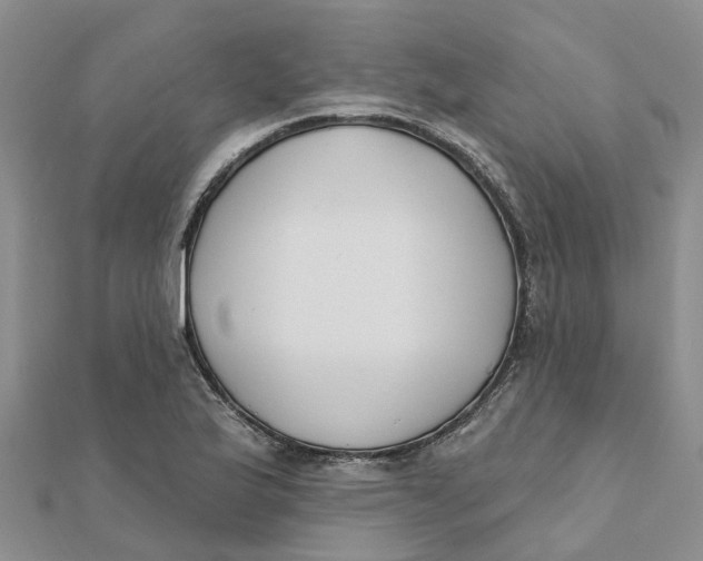 X0000111891175200908131648