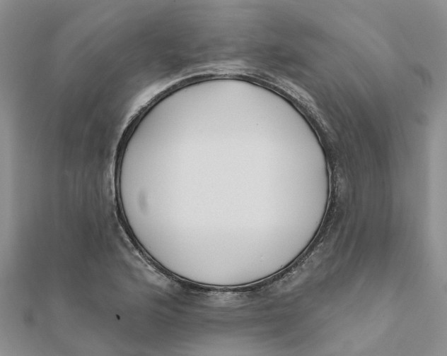 X0000111891176200908131648