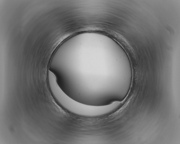 X0000111891177200908131648