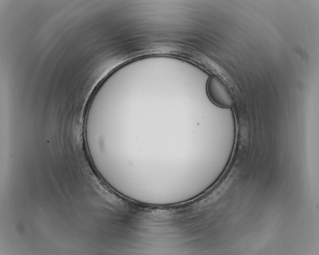 X0000111891178200908131648