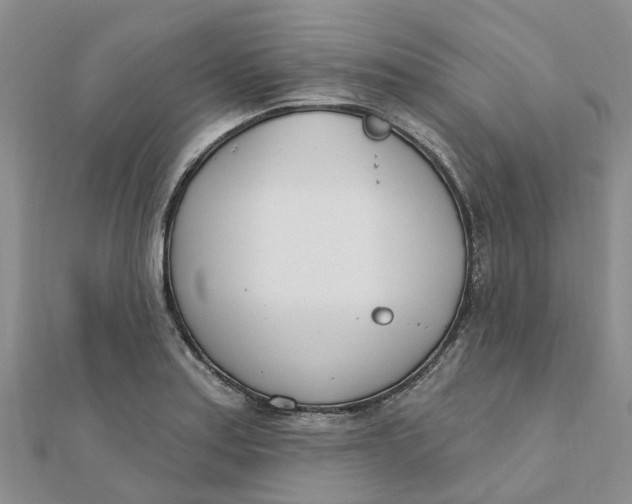 X0000111891179200908131648