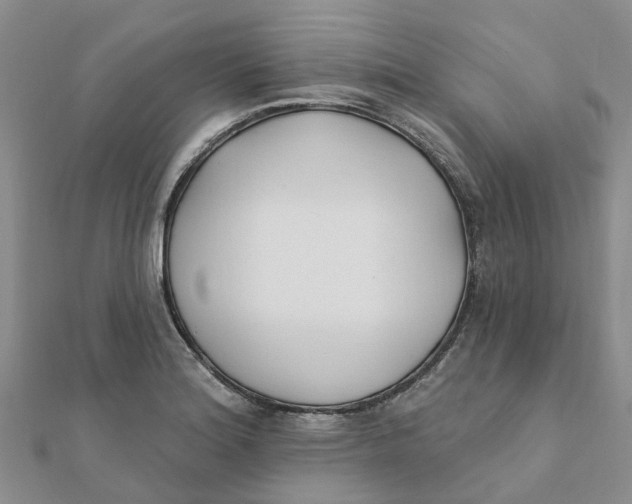 X0000111891180200908131648