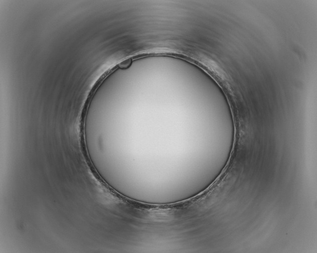 X0000111891181200908131648