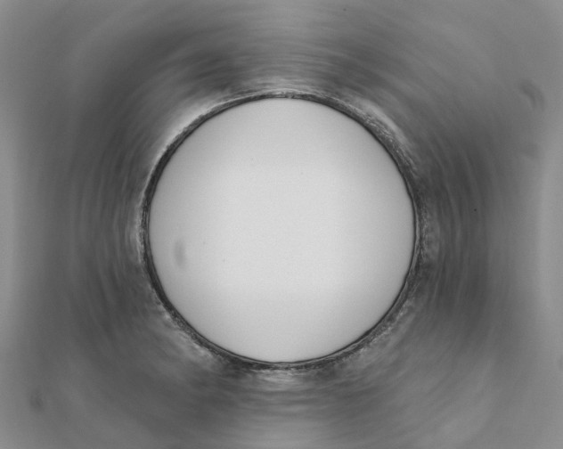 X0000111891182200908131648