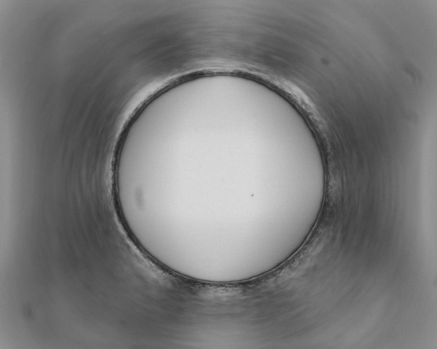 X0000111891183200908131648