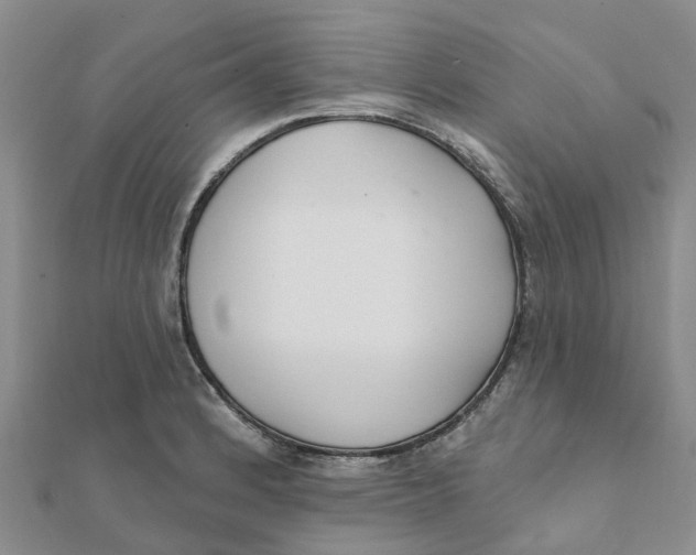 X0000111891184200908131648