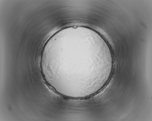 X0000111891185200908131648