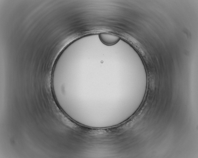 X0000111891186200908131648