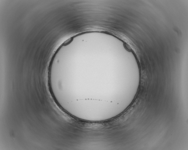 X0000111891187200908131648