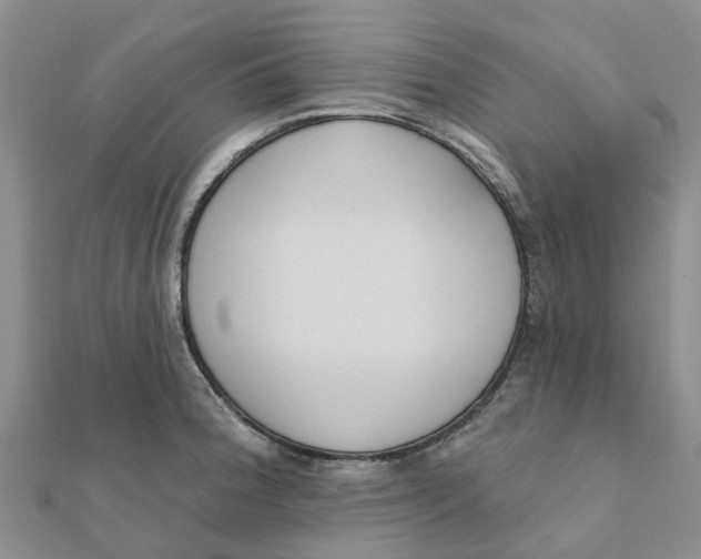 X0000111891188200908131648