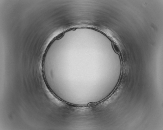 X0000111891189200908131648