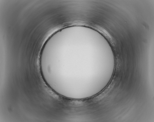 X0000111891190200908131648