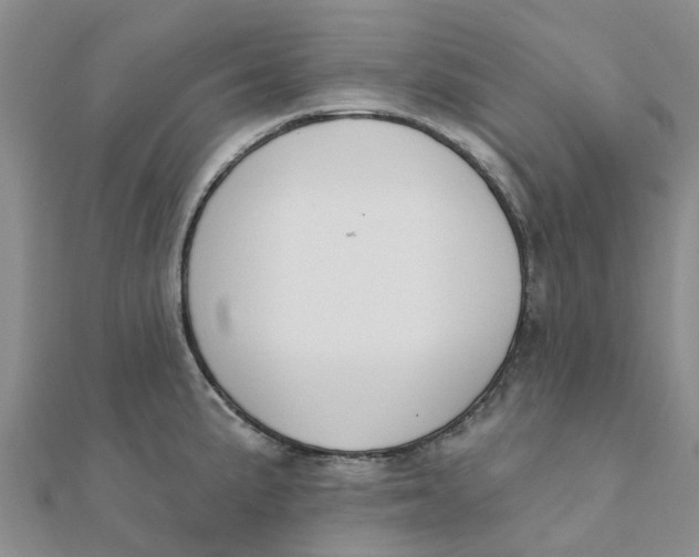 X0000111891191200908131648