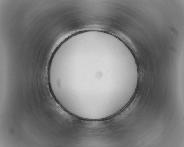 X0000111891192200908131648