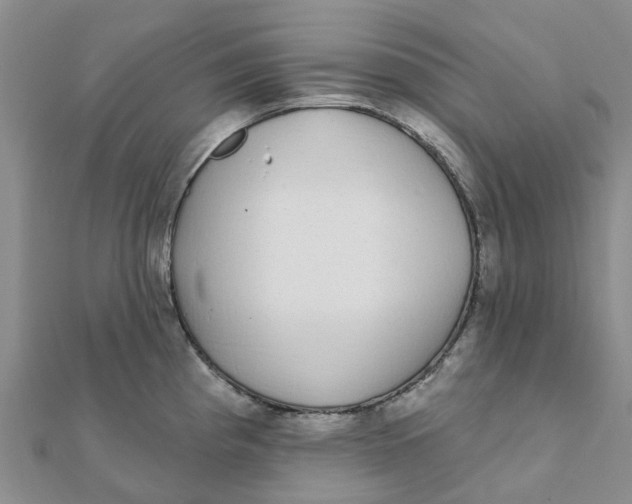 X0000111891193200908131648