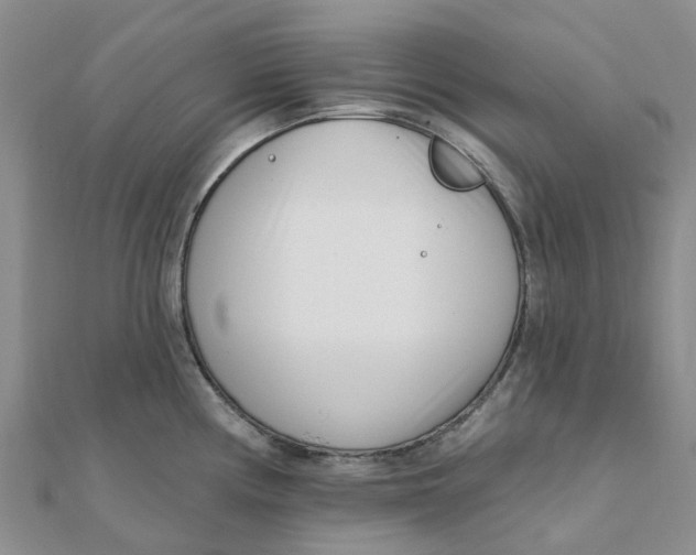 X0000111891194200908131648