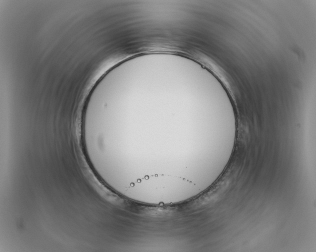 X0000111891195200908131648