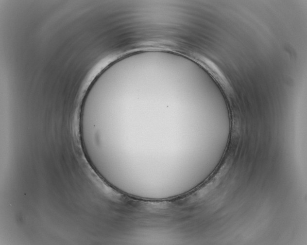 X0000111891196200908131648