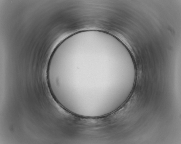 X0000111891197200908131648