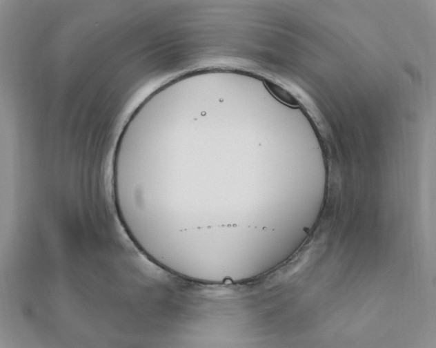 X0000111891199200908131648