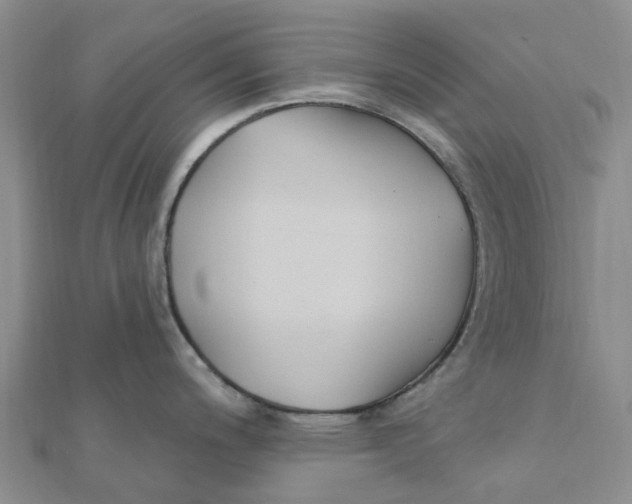 X0000111891200200908131648