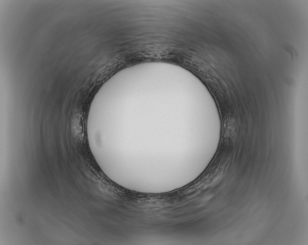 X0000111891202200908131647