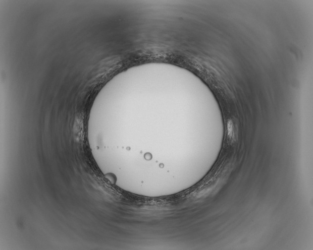 X0000111891203200908131647