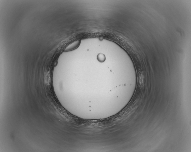 X0000111891204200908131647